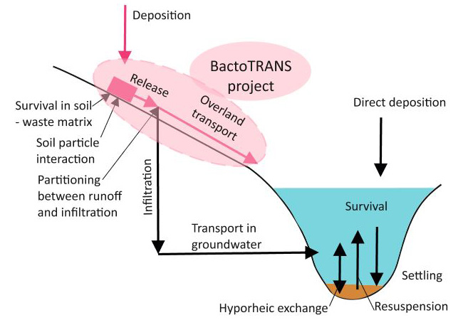 bactoTrans Skizze bactoTRANS