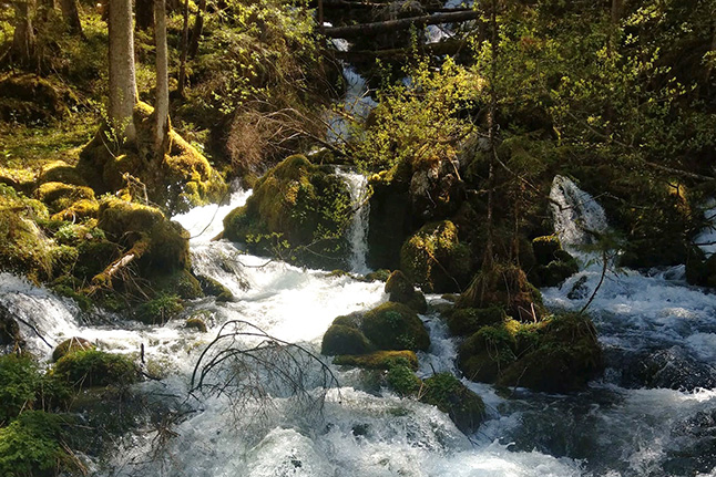 Karstquelle Karstquelle